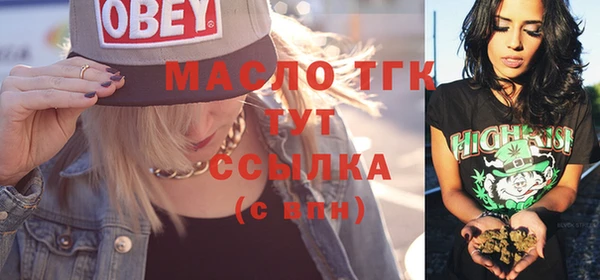 прущие крисы Пересвет