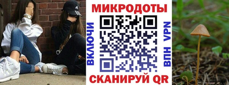 Галлюциногенные грибы Psilocybe Енисейск